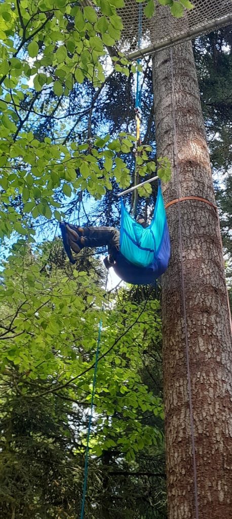 exercices cordes arbres 2