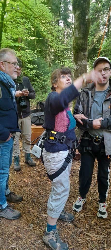 exercices cordes arbres 9